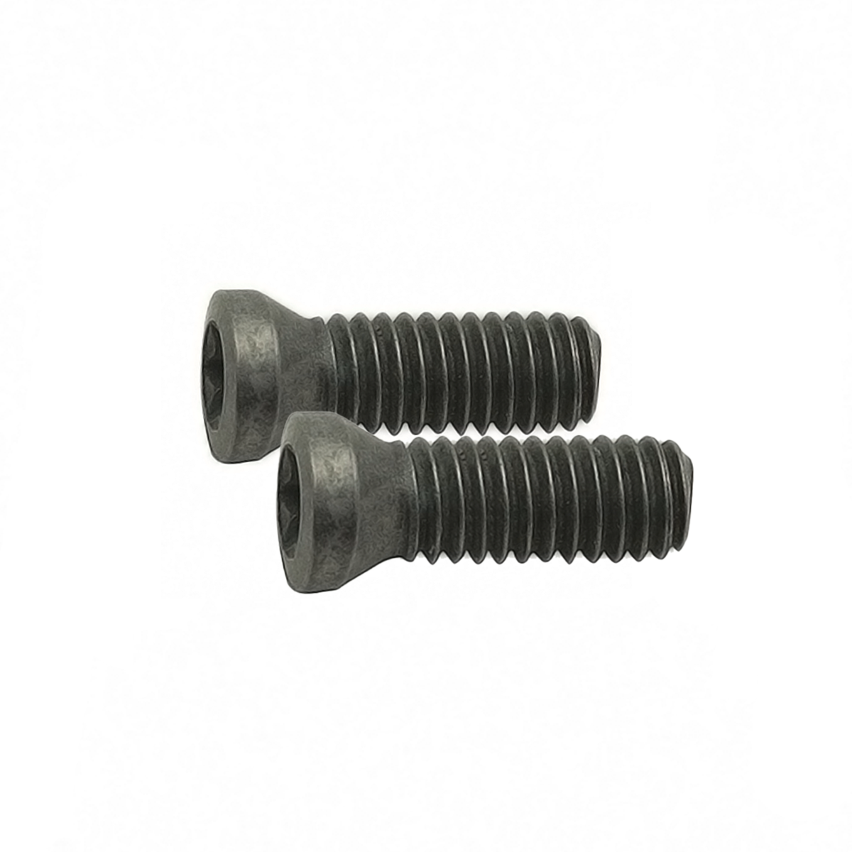 Replacement B52 Screws (2 PCS)